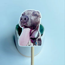 Load image into Gallery viewer, Custom Pet Sticker | Cartoon Style
